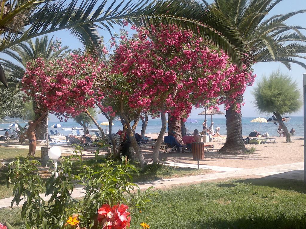 Three Stars Beach Hotel Мораитика Екстериор снимка